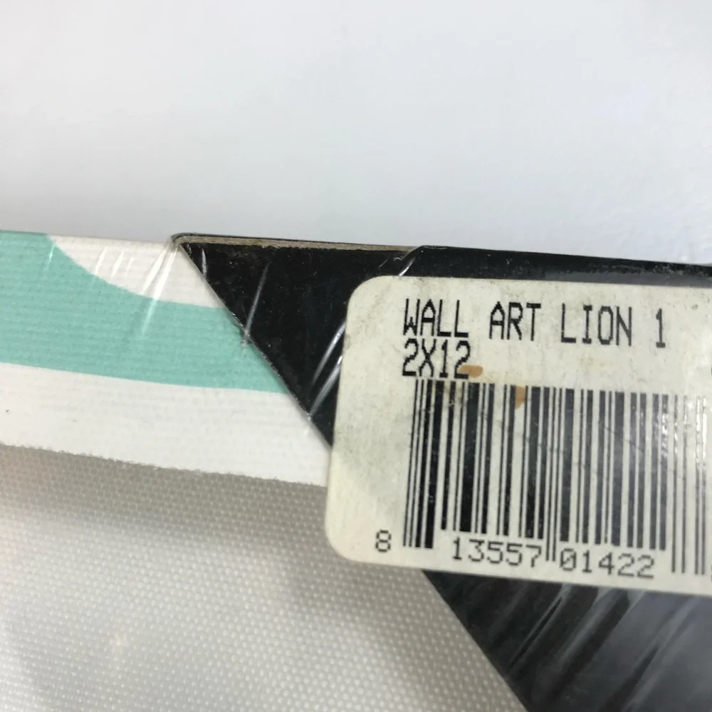 Studio Arts Kids Furry Lion Canvas Wall Art‎